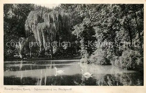 AK / Ansichtskarte Nordhausen Thueringen Schwanenteich Stadtpark Kat. Nordhausen Harz