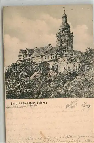 AK / Ansichtskarte Harz Region Burg Falkenstein