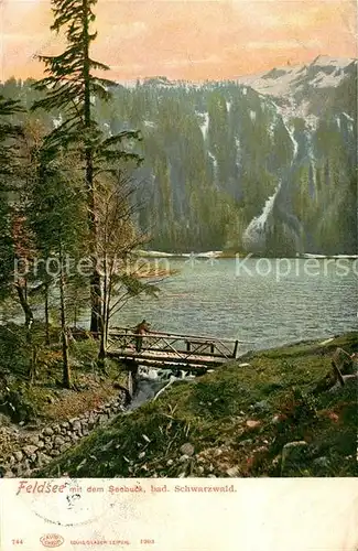 AK / Ansichtskarte Seebuck mit Feldsee Kat. Feldberg (Schwarzwald)