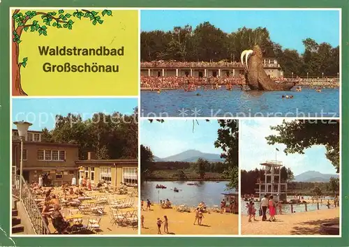 AK / Ansichtskarte Grossschoenau Sachsen Waldstrandbad Kat. Grossschoenau Sachsen