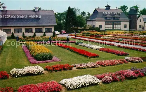 AK / Ansichtskarte St Catharines All America Flower Selections at Stokes Seeds Proving Grounds