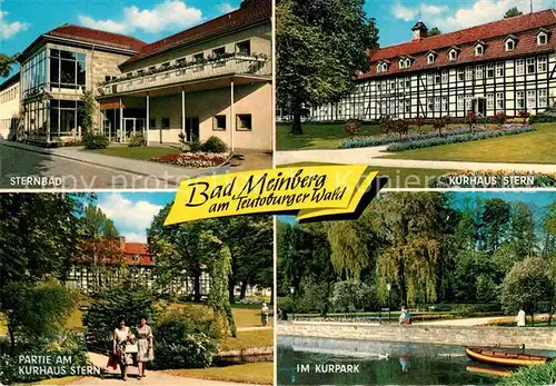 AK / Ansichtskarte Bad Meinberg Sternberg Kurhaus Stern Partie im Kurpark Kat. Horn Bad Meinberg
