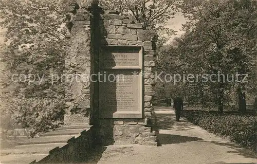 AK / Ansichtskarte Heidelberg Neckar Partie aus dem Stueckgarten Lieblingsplatz von Goethe Kat. Heidelberg