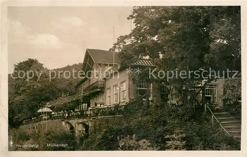 AK / Ansichtskarte Heidelberg Neckar Molkenkur Kat. Heidelberg