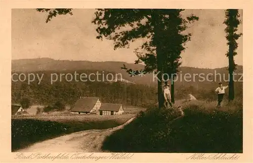 AK / Ansichtskarte Bad Rothenfelde Noller Schlucht Kat. Bad Rothenfelde