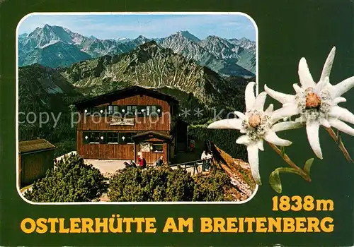 AK / Ansichtskarte Pfronten Ostlerhuette am Breitenberg Alpenpanorama Edelweiss Kat. Pfronten