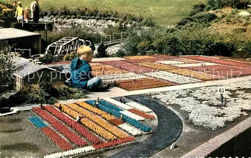 AK / Ansichtskarte Den Haag Miniatuurstad Madurodam Bollenvelden Kat. s Gravenhage