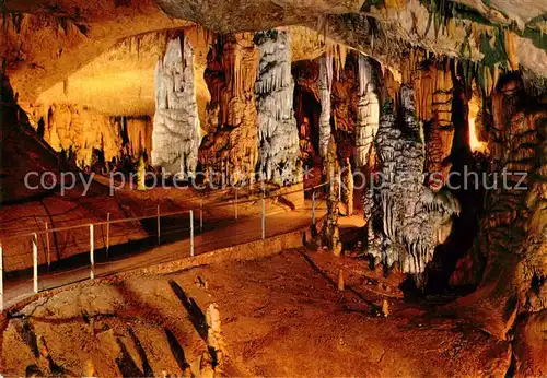 AK / Ansichtskarte Hoehlen Caves Grottes Postojnska Jama  Kat. Berge