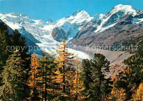 AK / Ansichtskarte Gletscher Morteratschgletscher Bellavista Piz Bernina  Kat. Berge