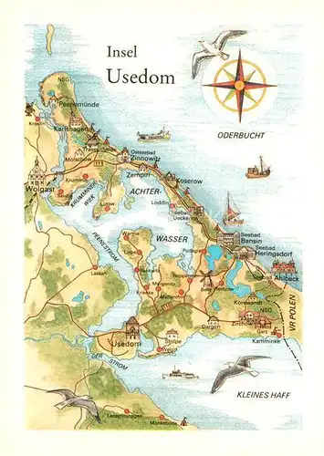 AK / Ansichtskarte Insel Usedom Landkarte Oderbucht Kleines Haff Kompass Moewe