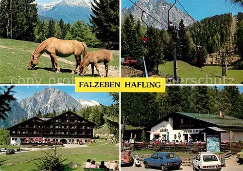 AK / Ansichtskarte Falzeben Haflinger Pferde Sessellift Piffinger Koepfl Gasthof Cafe Kat. Hafling Bozen Suedtirol