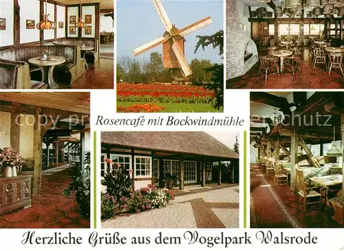 AK / Ansichtskarte Walsrode Lueneburger Heide Vogelpark Rosencafe mit Bockwindmuehle Kat. Walsrode