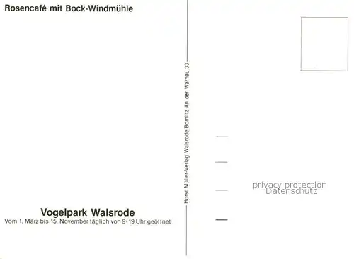 AK / Ansichtskarte Walsrode Lueneburger Heide Vogelpark Rosencafe mit Bockwindmuehle Kat. Walsrode