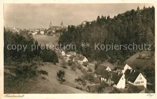 AK / Ansichtskarte Freudenstadt Panorama Kurort Schwarzwald Kat. Freudenstadt