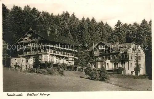 AK / Ansichtskarte Freudenstadt Waldhotel Stokinger Kurort Schwarzwald Kat. Freudenstadt