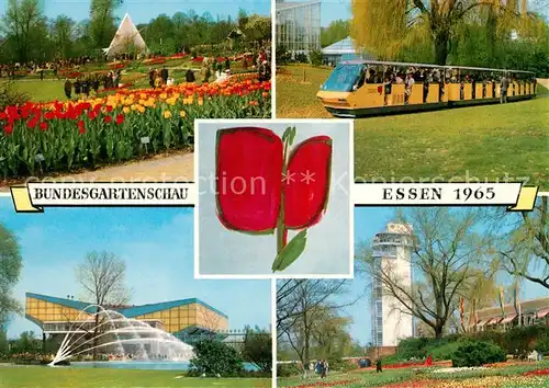 AK / Ansichtskarte Bundesgartenschau Essen Tulpen  Kat. Expositions