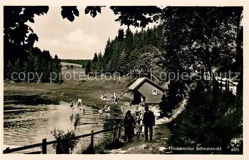 AK / Ansichtskarte Friedenweiler Partie am See Kat. Friedenweiler