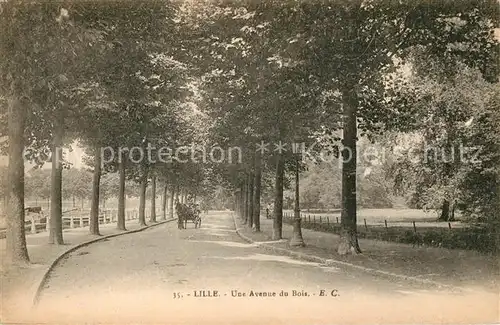 AK / Ansichtskarte Lille Nord Avenue du Bois Pferdekutsche Kat. Lille