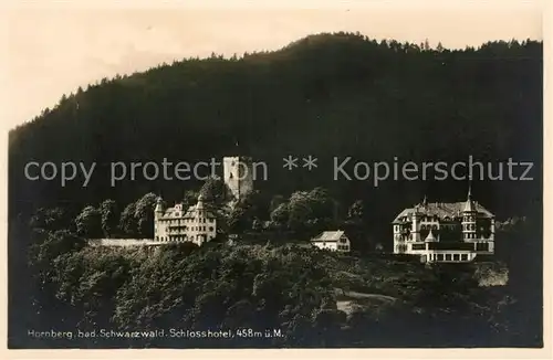 AK / Ansichtskarte Hornberg Schwarzwald Schlosshotel Kat. Hornberg