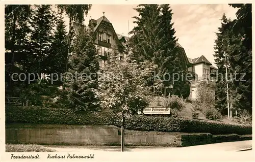 AK / Ansichtskarte Freudenstadt Kurhaus Palmenwald Kurort im Schwarzwald Kat. Freudenstadt