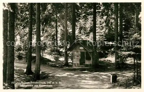 AK / Ansichtskarte Freudenstadt Palmenwald mit Koehlerhuette Kurort im Schwarzwald Kat. Freudenstadt