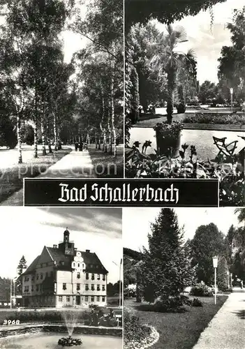 AK / Ansichtskarte Bad Schallerbach Allee Park Schloss  Kat. Bad Schallerbach