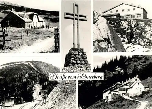 AK / Ansichtskarte Puchberg Schneeberg Damboeckhaus Gipfelkreuz Kat. Puchberg am Schneeberg