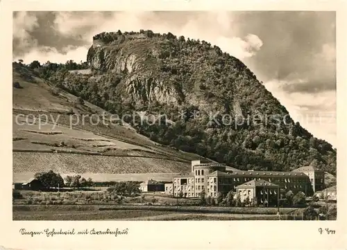 AK / Ansichtskarte Hohentwiel Burgruine Kat. Singen (Hohentwiel)