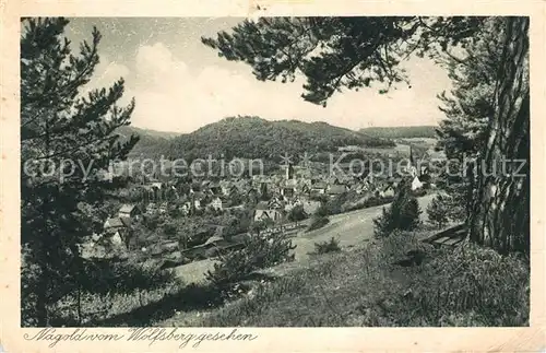 AK / Ansichtskarte Nagold Panorama Blick vom Wolfsberg Schwarzwald Kat. Nagold