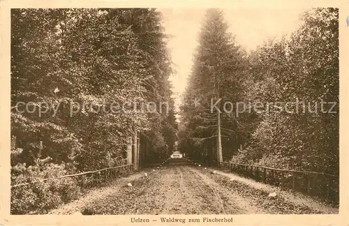 AK / Ansichtskarte Uelzen Lueneburger Heide Waldweg zum Fischerhof Kat. Uelzen