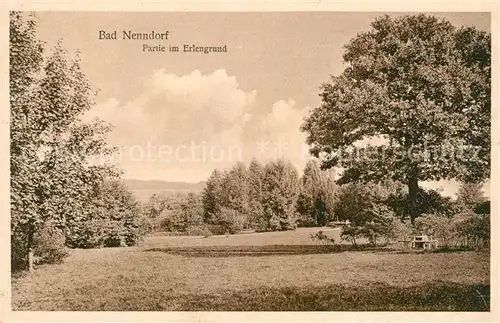 AK / Ansichtskarte Bad Nenndorf am Erlengrund Kat. Bad Nenndorf