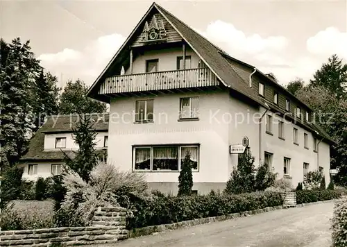 AK / Ansichtskarte Bad Salzhausen Tannenhof Kat. Nidda