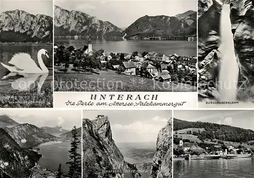 AK / Ansichtskarte Unterach Attersee mit Hoellengebirge Panorama Burggrabenklamm Schafbergspitze Fahrgastschiff Kat. Unterach am Attersee