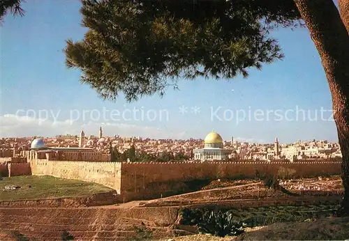AK / Ansichtskarte Jerusalem Yerushalayim Temple Area Eastern Wall seen from Mount of Olives Kat. Israel
