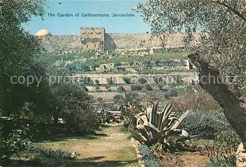 AK / Ansichtskarte Jerusalem Yerushalayim Garden of Gethsemane Kat. Israel