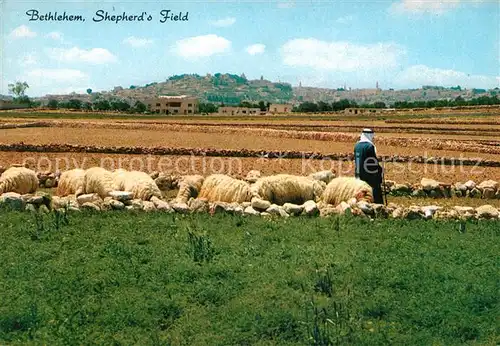 AK / Ansichtskarte Bethlehem Yerushalayim Shepherd s Field Kat. Bethlehem
