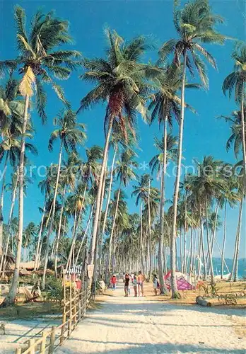 AK / Ansichtskarte Boracay Road along the beach Palm trees