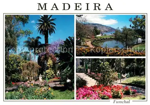 AK / Ansichtskarte Madeira Funchal Kat. Portugal