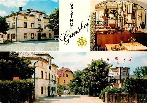 AK / Ansichtskarte Salzburg Oesterreich Hotel Ganshof Gaststube Kat. Salzburg