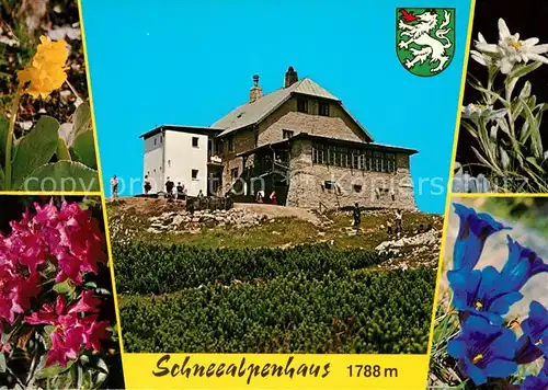AK / Ansichtskarte Kapellen Steiermark Schneealpenhaus Alpenflora Enzian Edelweiss Wappen Kat. Kapellen Muerz