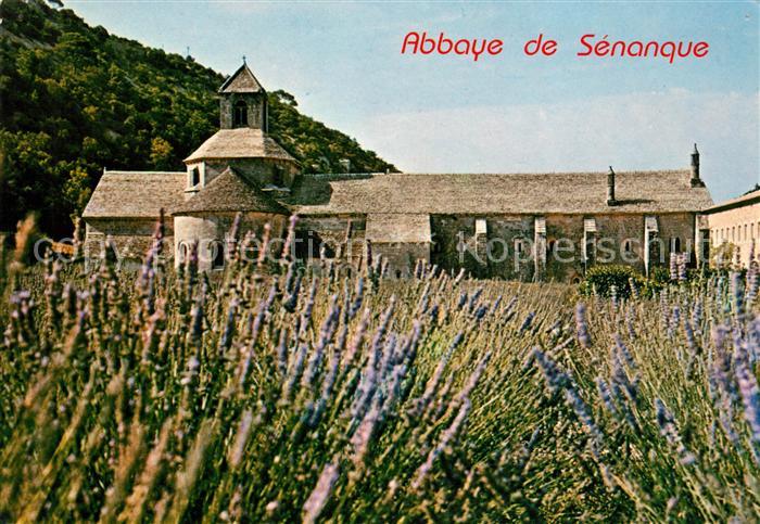 Ak Ansichtskarte Gordes Abbaye De Senanque Au Milieu Des Lavandes Kat Gordes Nr Kn24630 Oldthing Ansichtskarten Vaucluse