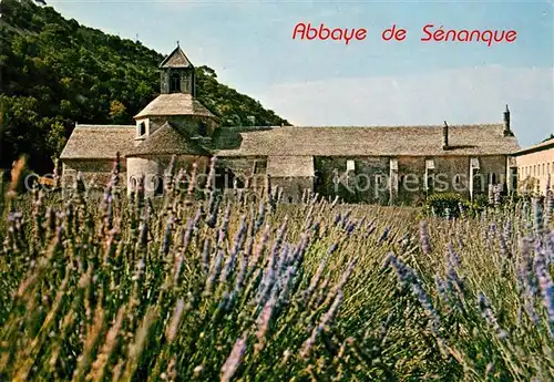 AK / Ansichtskarte Gordes Abbaye de Senanque au milieu des lavandes Kat. Gordes