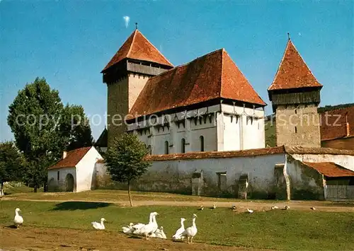 AK / Ansichtskarte Probstdorf Wien Kirchenburg Gaense