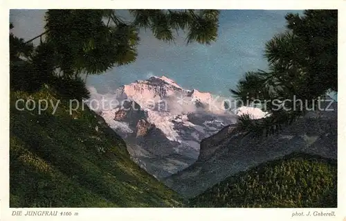 AK / Ansichtskarte Foto Gaberell J. Nr. 4358 Jungfrau  Kat. Fotografie