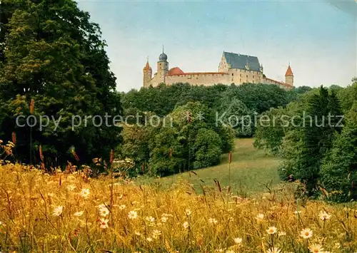 AK / Ansichtskarte Coburg Veilchental mit Veste Blumenwiese Kat. Coburg