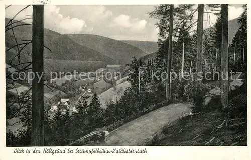 AK / Ansichtskarte Waldkatzenbach Panorama Blick in den Hoellgrund Kat. Waldbrunn