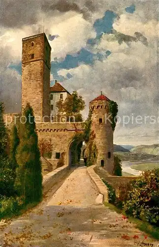 AK / Ansichtskarte Hoffmann Heinrich Schloss Guttenberg am Neckar  Kat. Kuenstlerkarte