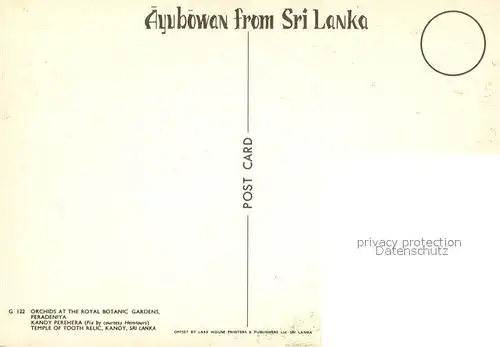 AK / Ansichtskarte Peradeniya Orchids Royal Botanic Gardens Kat. Ceylon = Sri Lanka