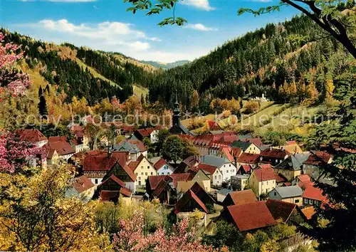 AK / Ansichtskarte Wirsberg Panorama Luftkurort im Fichtelgebirge Herbststimmung Kat. Wirsberg