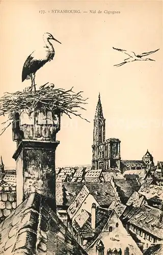 AK / Ansichtskarte Storch Strasbourg Nid de Cigognes  Kat. Tiere